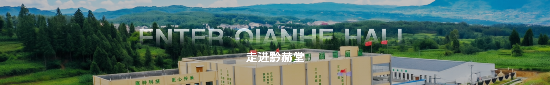 集团介绍